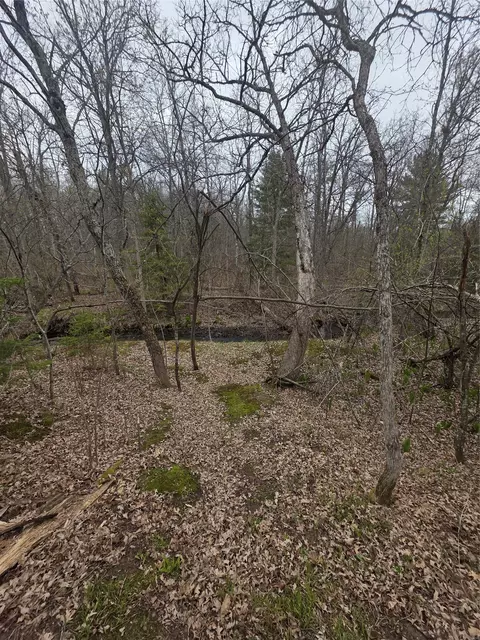 View/Area - 8644 N Lumbard Ln, Springbrook, WI 54875 photo 1 of 1