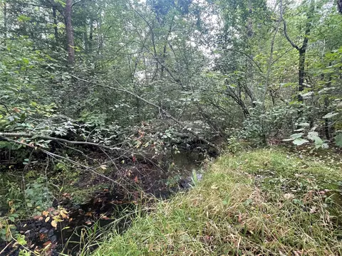 Other - n8644 Lumbard Lane, Springbrook, WI 54875 photo 5 of 6