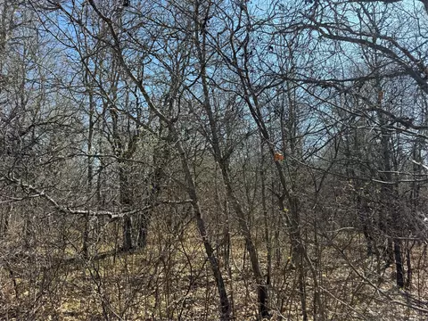 lot53 E Wilderness Ct, Barnes, WI 54873