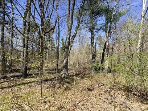0 County Road B, Hayward, WI 54843