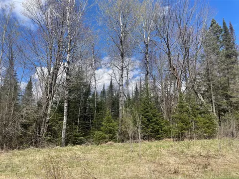 81620 Pociask Rd, Butternut, WI 54514