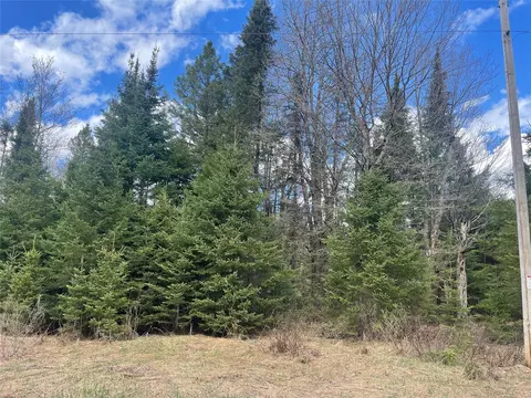 40 Acres On Pociask Rd, Butternut, WI 54514