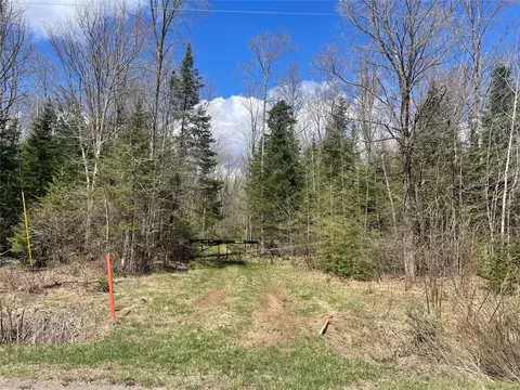 40 Acres On Pociask Rd, Butternut, WI 54514