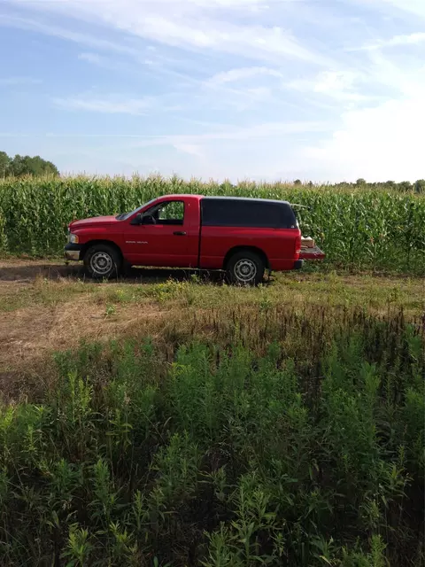 120 Acres Off County Hwy N, Glidden, WI 54527 photo 5