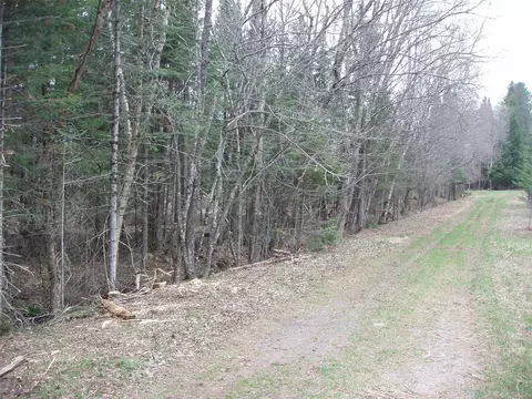 120 Acres Off County Hwy N, Glidden, WI 54527 photo 2