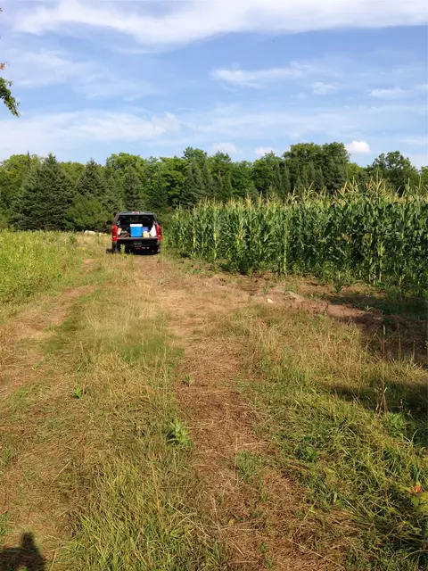 120 Acres Off County Hwy N, Glidden, WI 54527 photo 4