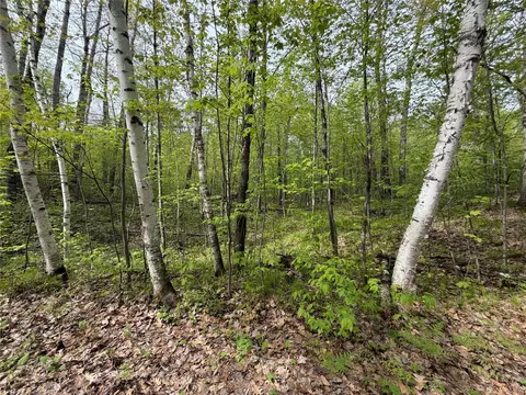 lot3 Peterson Rd, Wascott, WI 54859