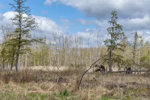 40 Acres Anderson School Rd, Glen Flora, WI 54526