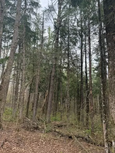 0 Pederson Rd, Hayward, WI 54843