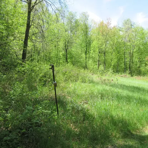 Nnn 810th Street, Boyceville, WI 54751