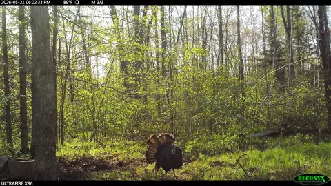 Other - 81289 E Side Fire Ln, Glidden, WI 54527 photo 13 of 15