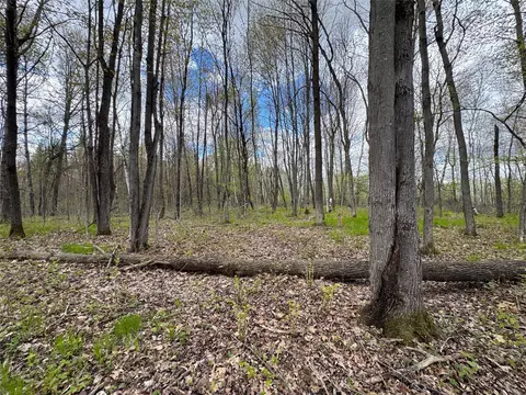 000 Ramer Rd, Bruce, WI 54819 photo 17