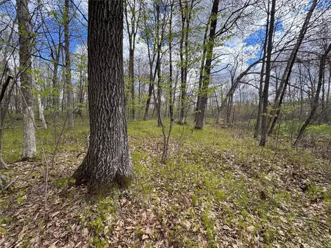 000 Ramer Rd, Bruce, WI 54819 photo 19
