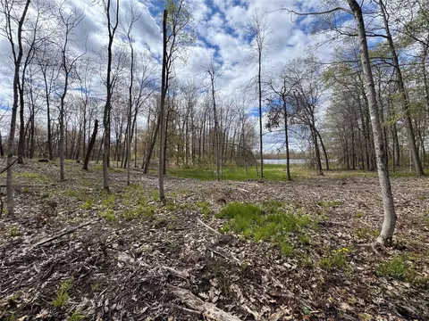 000 Ramer Rd, Bruce, WI 54819 photo 18