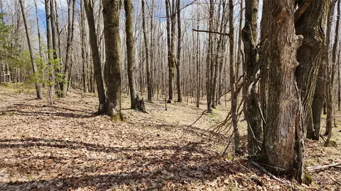 Off Hay Creek Road, Prentice, WI 54556 photo 33