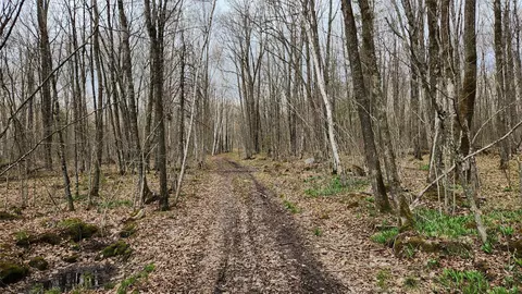 Off Hay Creek Road, Prentice, WI 54556 photo 29