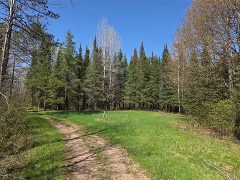 Off Hay Creek Road, Prentice, WI 54556 photo 8