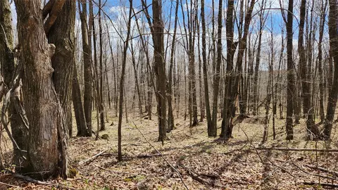 Off Hay Creek Road, Prentice, WI 54556 photo 41