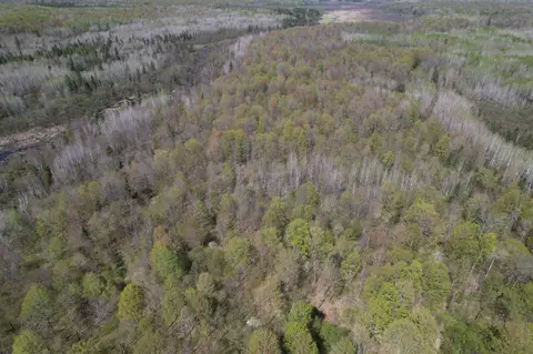 Off Hay Creek Road, Prentice, WI 54556 photo 38