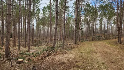 Off Hay Creek Road, Prentice, WI 54556 photo 31