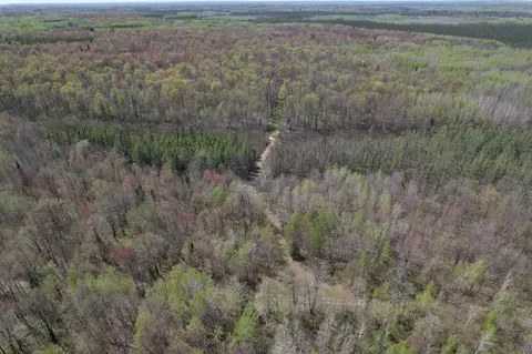 Off Hay Creek Road, Prentice, WI 54556 photo 6