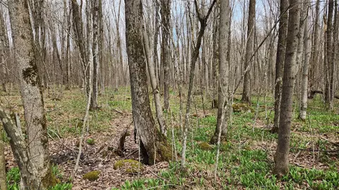 Off Hay Creek Road, Prentice, WI 54556 photo 42