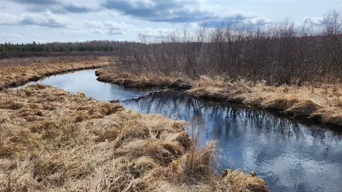 Off Hay Creek Road, Prentice, WI 54556 photo 30