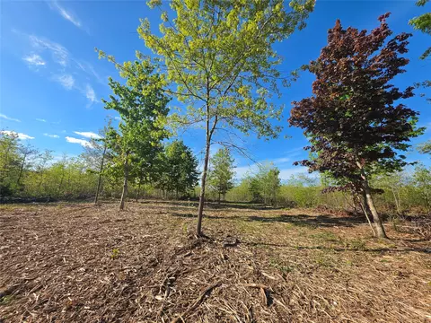 0 370 Avenue Lot 7 And #LOT 8, Elk Mound, WI 54739