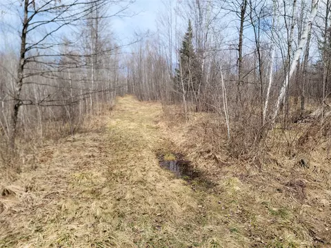 On Elderwood Road, Phillips, WI 54555 photo 10
