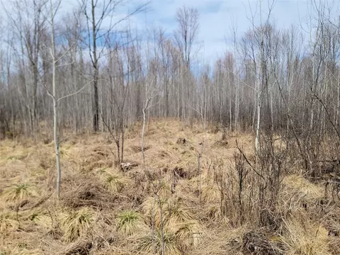 On Elderwood Road, Phillips, WI 54555 photo 9