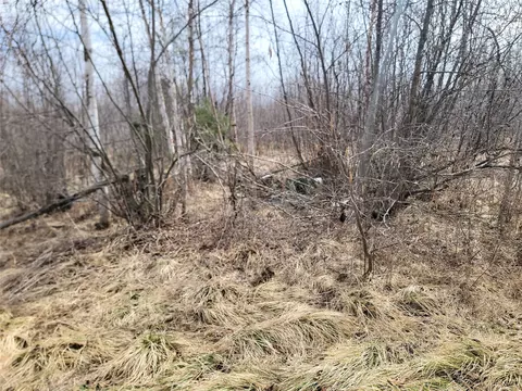 On Elderwood Road, Phillips, WI 54555 photo 8
