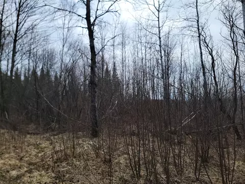 On Elderwood Road, Phillips, WI 54555 photo 12