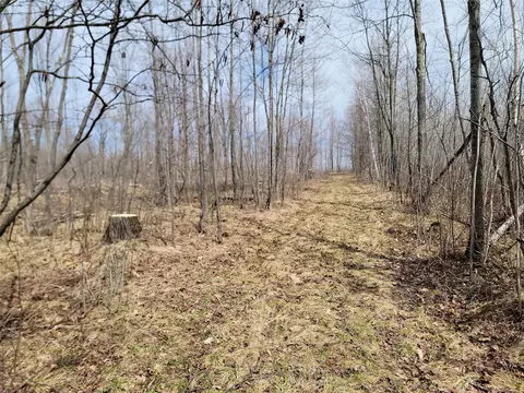 On Elderwood Road, Phillips, WI 54555 photo 5