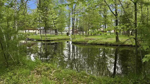 View/Area - 26660 County Road M, Holcombe, WI 54745 photo 4 of 6