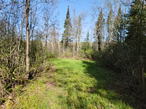 On Cth W, Winter, WI 54896