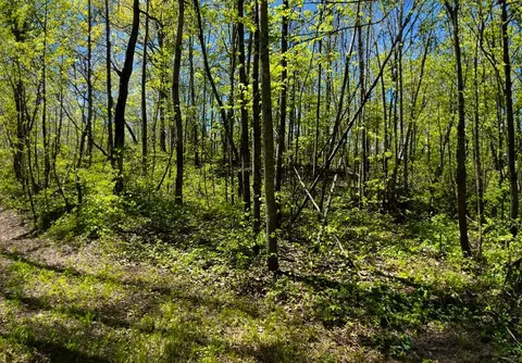 Other - n4798 Loop Road, Spooner, WI 54801 photo 7 of 12