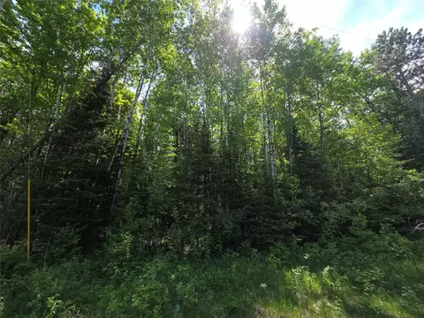 lot1 E Solberg Lake Rd, Phillips, WI 54555 photo 4