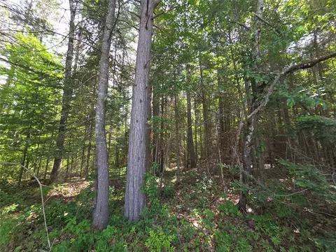 lot1 E Solberg Lake Rd, Phillips, WI 54555