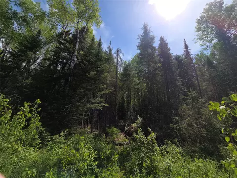 lot3 E Solberg Lake Rd, Phillips, WI 54555