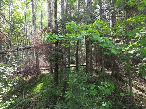 lot4 E Solberg Lake Rd, Phillips, WI 54555
