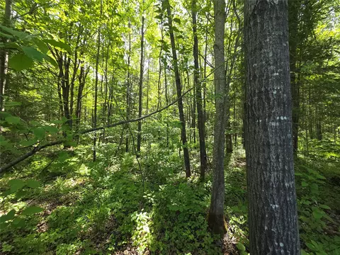 lot5 E Solberg Lake Rd, Phillips, WI 54555