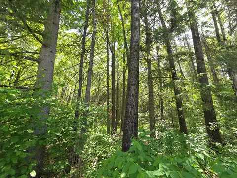 lot6 E Solberg Lake Rd, Phillips, WI 54555