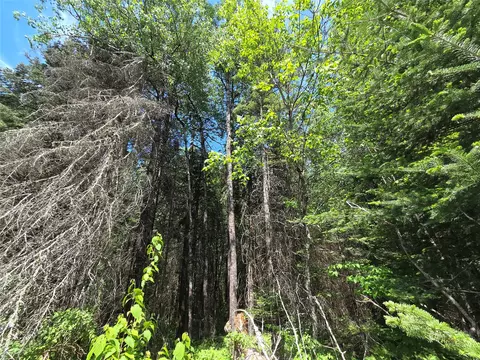 lot8 E Solberg Lake Rd, Phillips, WI 54555