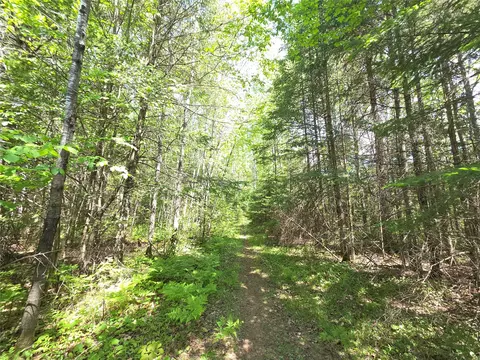 lot9 E Solberg Lake Rd, Phillips, WI 54555