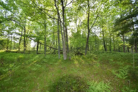 lot19 Aspen Hill Trailway, Webster, WI 54893