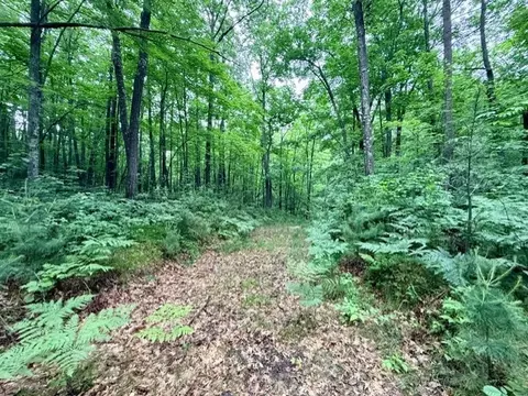 Undisclosed, Hayward, WI 54843