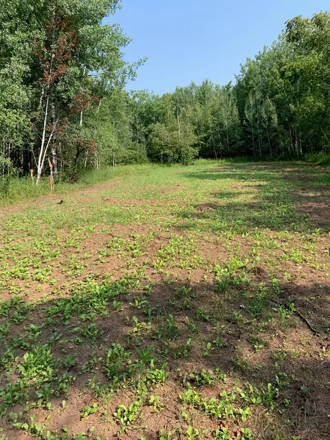 2208 State Road 70, Spooner, WI 54801 photo 8