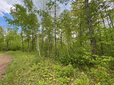 lot9 Hustvet Dr, Trego, WI 54888