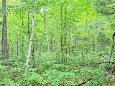 0 Schultz Ln, Stone Lake, WI 54876