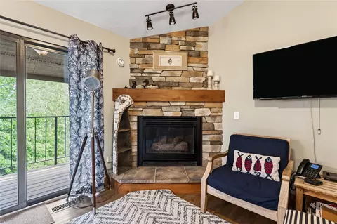 Living - 42950 Lakewoods Dr #301, Cable, WI 54821 photo 4 of 6